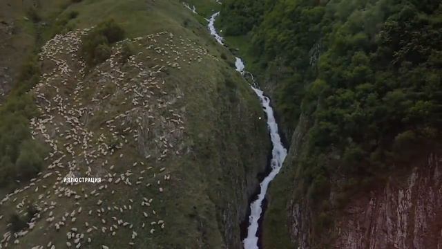 В ЧЕМ ЗАКЛЮЧАЕТСЯ ИСТННЫЙ СМЫСЛ ПОСТА В МЕСЯЦ РАМАДАН? ДЛЯ ЧЕГО МУСУЛЬМАНЕ ПОСТЯТСЯ В МЕСЯЦ РАМАДАН смотреть онлайн