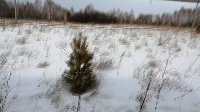 ПЕРЕЕЗД ИЗ ГОРОДА В ДЕРЕВНЮ//ОБЗОР УЧАСТКА смотреть онлайн