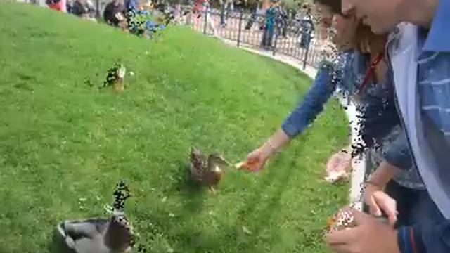 Путешествие в сказку