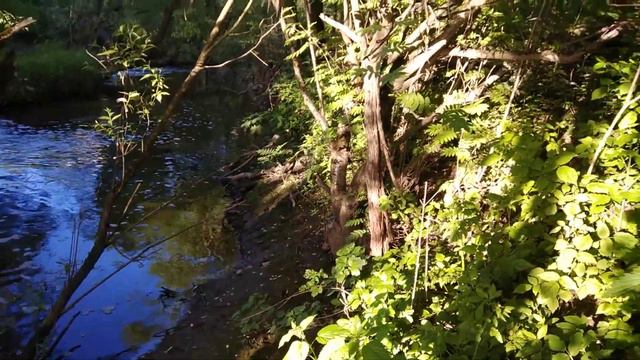 Видное. Засыпало русло реки, ч.2 смотреть онлайн