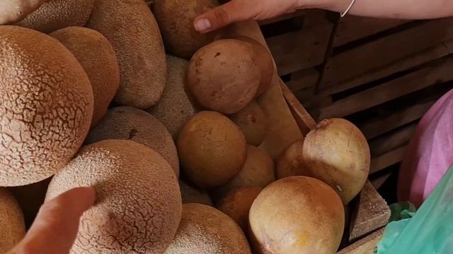 От Канкуна до Тулума. МЕКСИКА. ОТ Полуостров Юкатан смотреть онлайн