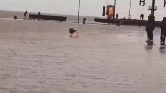 Great Britain in horror! Storm Eunice and Dudley hit the kingdom. смотреть онлайн