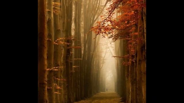 The Long And Winding Road -  The Royal Philharmonic Orchestra