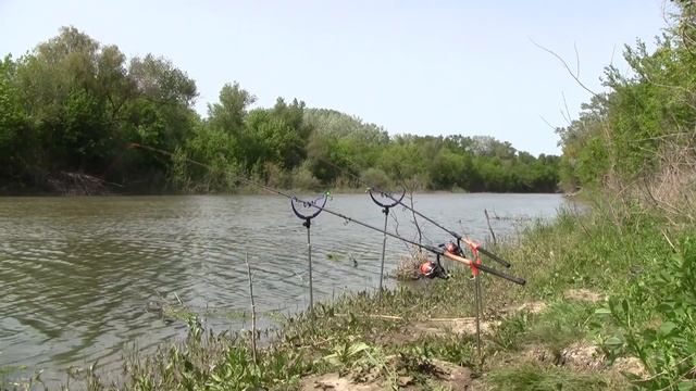 Река,ФИДЕР,РЫБАЛКА на течении.УЛОВ в садке) смотреть онлайн