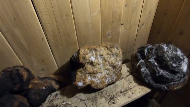 Обзор на влагомер. Сдача чаги и многое другое смотреть онлайн