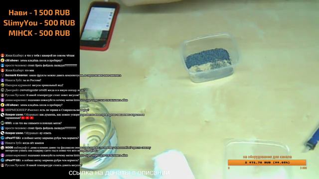 СТРИМ - ПЕРЕСАЖИВАЮ СОТНЮ МАТОК \\ ПОГОВОРИМ? смотреть онлайн