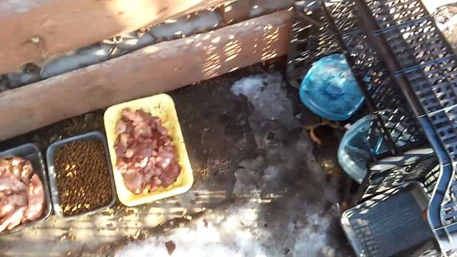 Тепло как весной. Завтра +7 смотреть онлайн