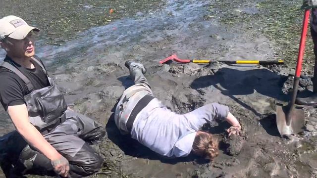 Digging Geoduck Required Teamwork!