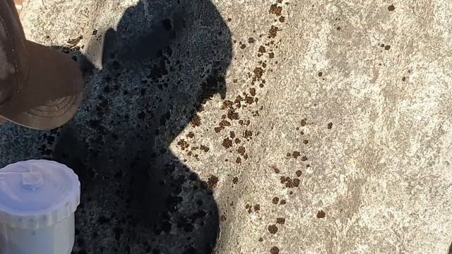 Деревяный забор между соседями, своими руками смотреть онлайн