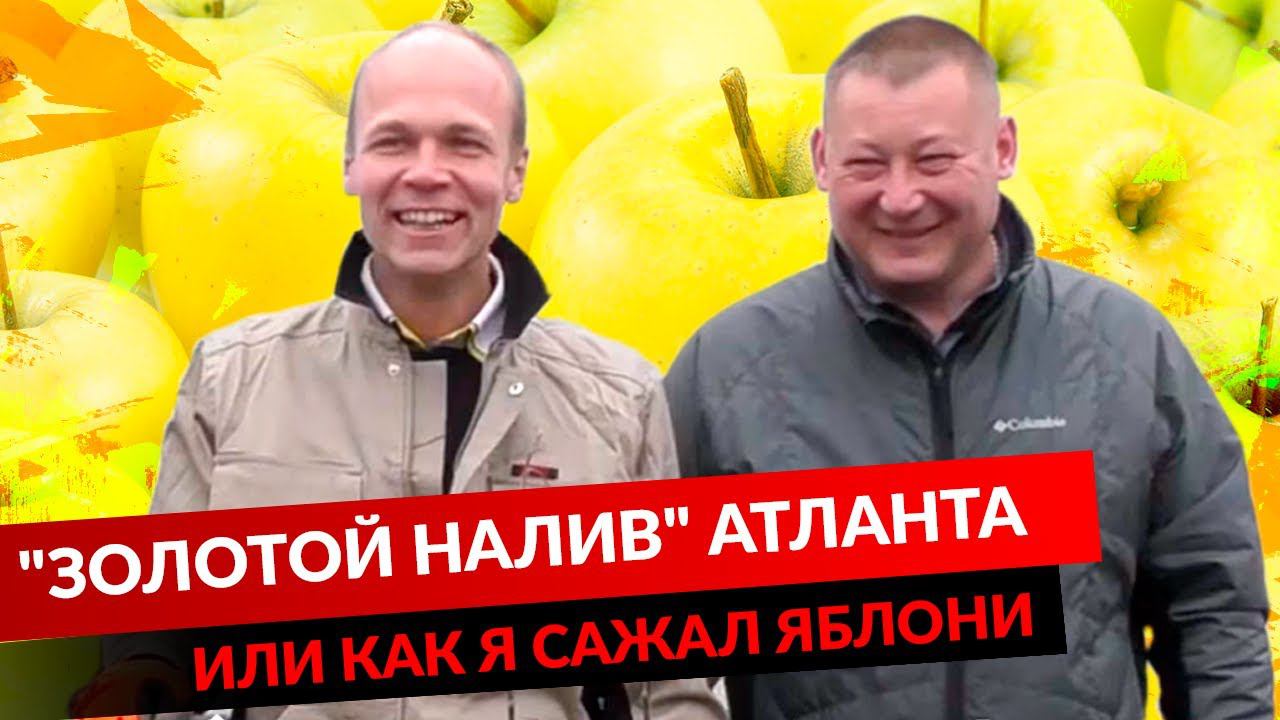 "Золотой налив" Атланта или как я сажал яблони смотреть онлайн