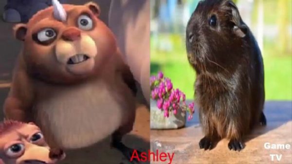 Ice Age In Real Life !!! Game TV