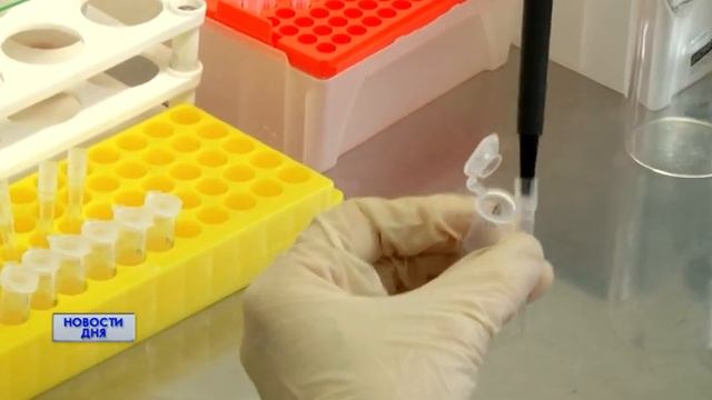 ОПАСНО ЛИ КУРИНОЕ МЯСО? смотреть онлайн