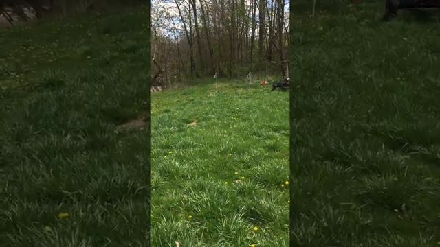 AR15 Pistol Target Practice смотреть онлайн
