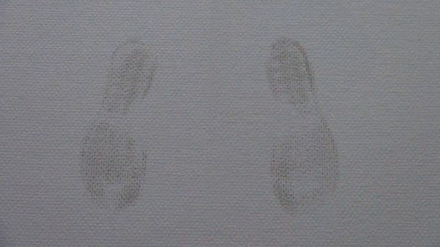 Краска Farby KABE Profilatex | DOMINGO.BY