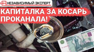 Это невероятно Капиталка за 1000р удалась!