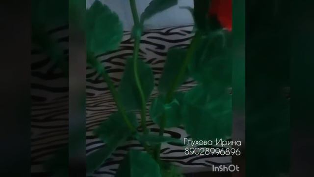 Торшер ,,куст роз,, смотреть онлайн