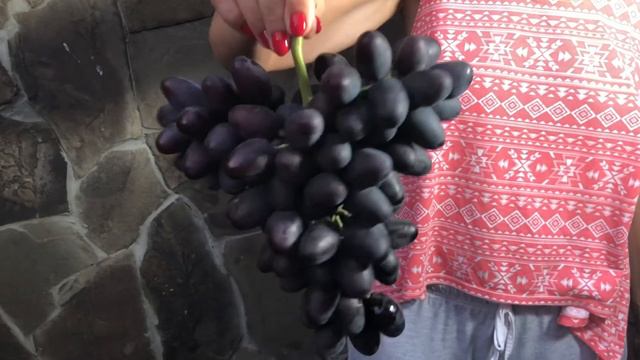 Эмир. смотреть онлайн