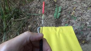 Ловля плотвы. Как ловить плотву осенью.