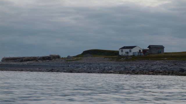 Shores Of Newfoundland смотреть онлайн