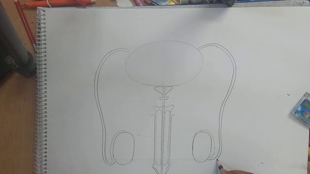 How to draw male reproductive system easily by using ...scale смотреть онлайн