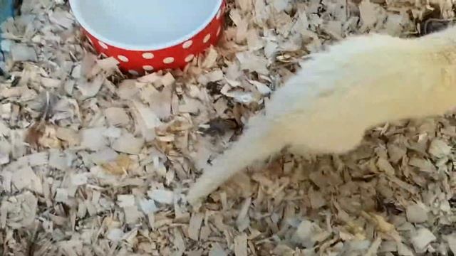 Share(31) смотреть онлайн