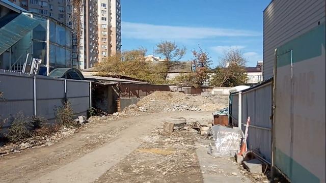 #Анапа 12 МКР и ул. Промышленная Как называется это дерево? 14 октября смотреть онлайн