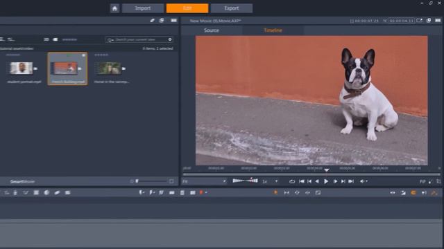 Как поместить текст за отслеживаемый объект в Pinnacle Studio 25 Ultimate смотреть онлайн