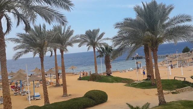 Египет территория отеля Queen Sharm Resort Egypt Beach Hotel Queen Sharm Resort