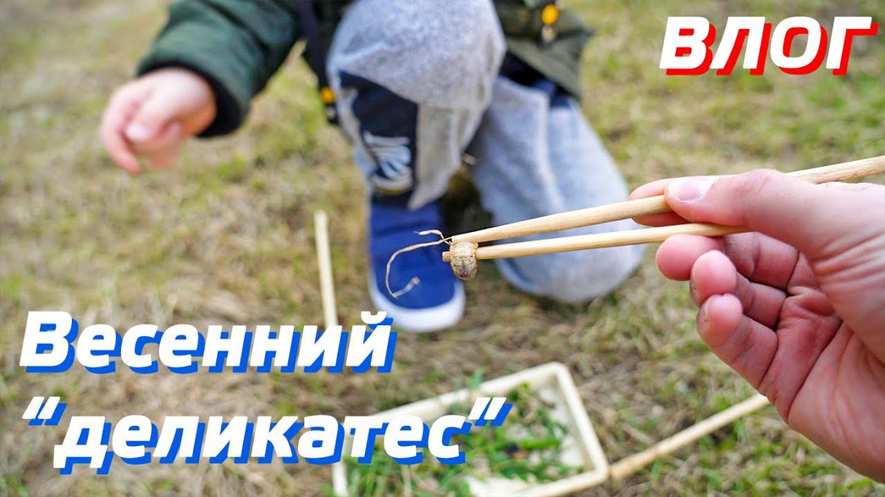 НЕОБЫЧНЫЙ ДЕЛИКАТЕС / ЕЖЕДНЕВНЫЙ ВЛОГ смотреть онлайн