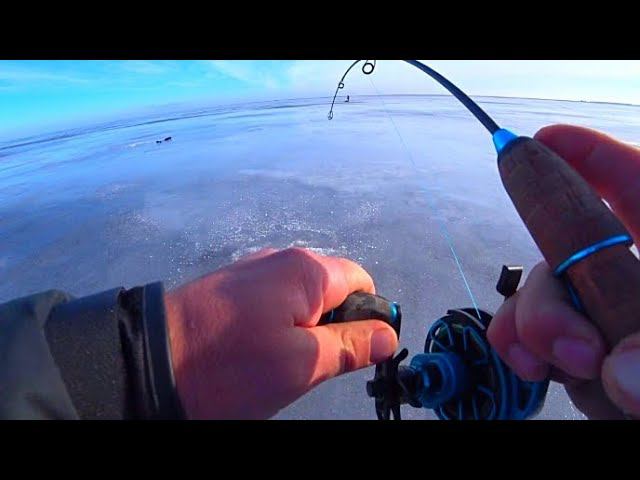 СУДАК СНОВА В ДЕЛЕ! МАТУШКА ВОЛГА РАДУЕТ РЫБАЛКА НА СУДАКА смотреть онлайн