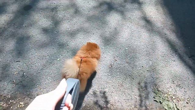 Влог домашние дела нет воды целый день змечательная вечерняя прогулка левый берег крутой фантан смотреть онлайн