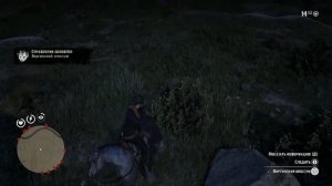 Испытания Охотника. Где найти опоссума? Red Dead Redemption 2 How to find opossum?