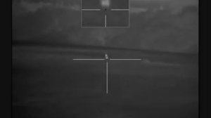 Охота на ВОЛКА ? с тепловизором.