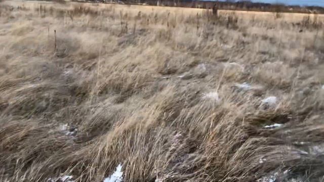 Новые места охоты на куропатку, почти …….. ??? смотреть онлайн