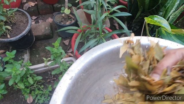 Mulching - इससे गरमी में आपका एक भी पौधा खराब नहीं होगा//इसके फायदे आपको चौंका देंगे смотреть онлайн