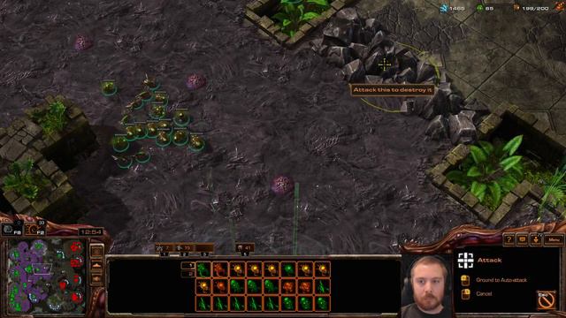 NewBreed vs NerfQueens ZvP on Solaris 2023-12-02 смотреть онлайн