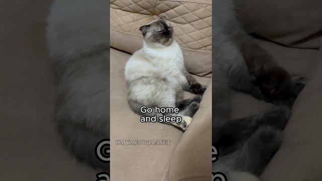 Best Advice for Bad Days ? смотреть онлайн