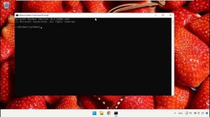 Как исправить отсутствие беспроводного адаптера в Windows 11 | Вариант Wi-Fi не работает