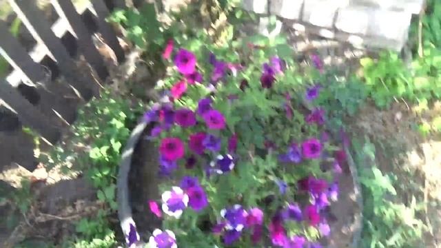 VLOG. Вот моя деревня... Покупки. Дела и заботы. смотреть онлайн