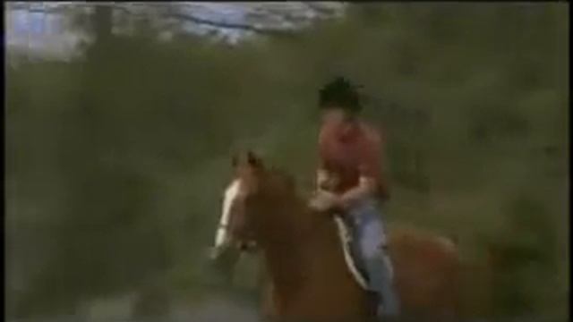 The Derby Stallion Trailer смотреть онлайн