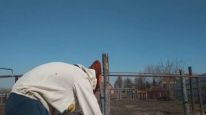 Объединение Пчел ВЕСНОЙ