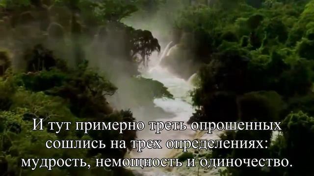 Как отличается старость в России и мире — Статья