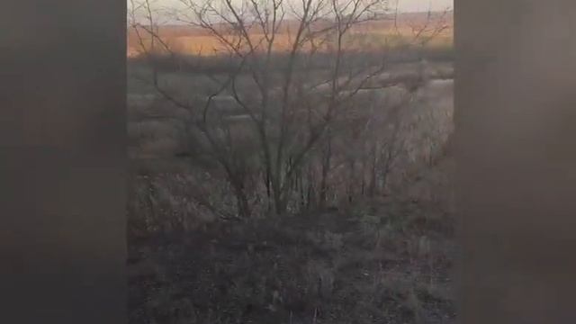 ОХОТА НА ВОЛКА 2020! СТЕПНЫЕ ОХОТНИКИ. СЕЗОН ОХОТЫ 2020! WOLF HUNT! смотреть онлайн