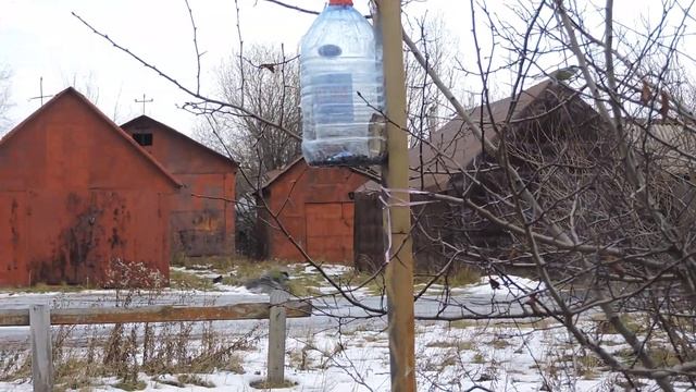 С днём доброты" смотреть онлайн