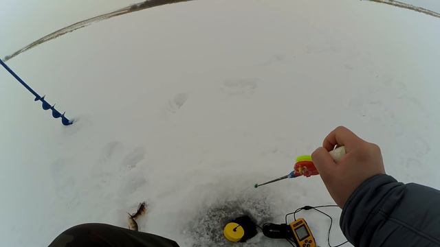 Качество и УЛОВИСТОСТЬ - силиконовые ПРИМАНКИ ручной работы! (Посылка к новому сезону) смотреть онлайн