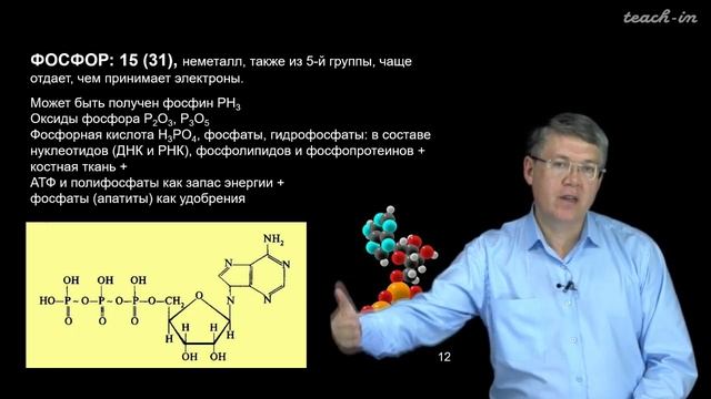 Наука и сон: Общая Биология. Химические вещества. смотреть онлайн