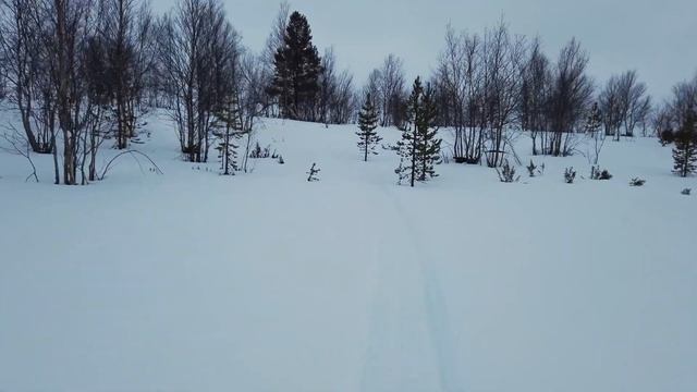 Нас настигла вьюга,сидим с Барсиком в палатке.Бензопила Ресанта и красивый закат на Кольском паве № смотреть онлайн