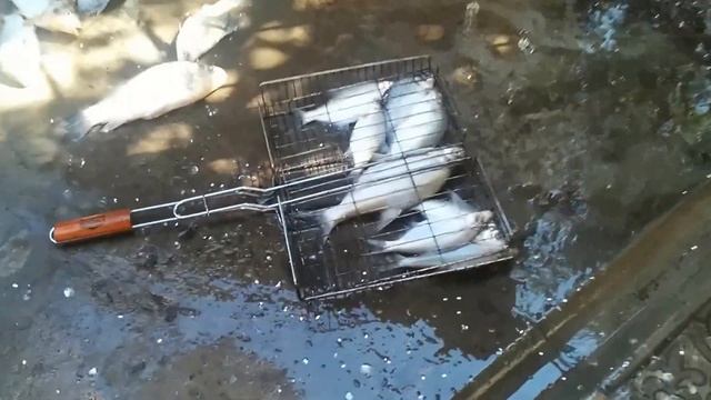 Как быстро почистить рыбу. смотреть онлайн
