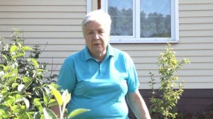 Голова садовая - Пинцировка черной смородины. Подготовка растений к зиме.