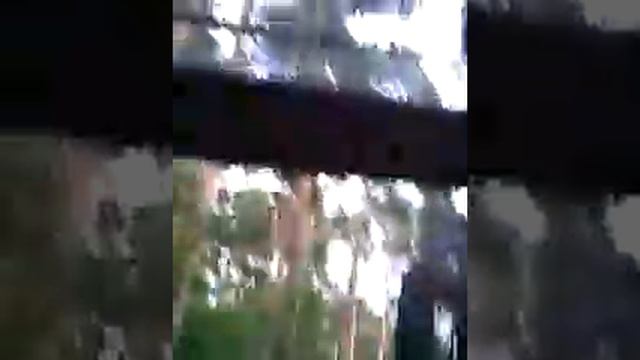 Новосибирский зоопарк :3 смотреть онлайн